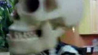 Super Freak Skeleton