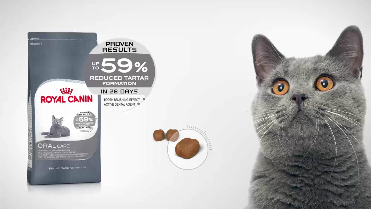 Royal Canin Feline Care Nutrition - Oral Care