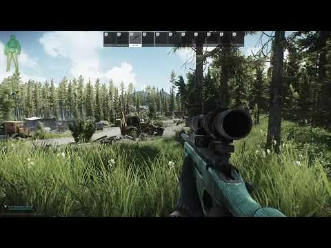 Shturman surprise in the woods