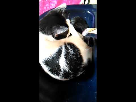 Mi primer baño solito