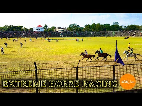 Extreme Horse racing prank |  NerdsCam