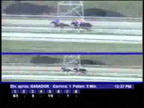 1ERA CARRERA DOMINGO 04 MARZO LA RINCONADA AUDIOHIPISMO