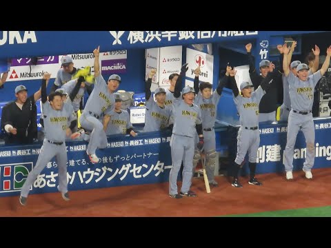 【森下翔太】9回勝ち越しタイムリー時の喜びベンチ　2026.08.23 阪神タイガース　プロ野球
