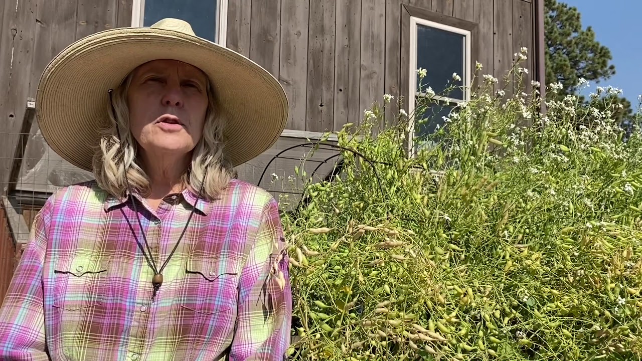 Steps for Seed Saving Part 1