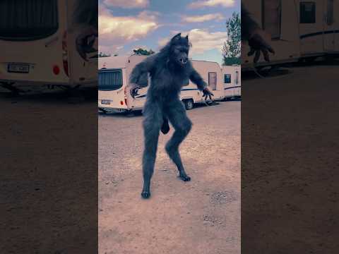 Animal Migration Journeys! #animaljourney #amazingtransformation #animals #animalgrowth #wildlife