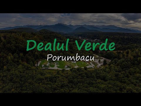 DJI Avata - Dealul Verde Guest house - Sibiu - Porumbacu - Transfagarasan - Sibiu - Romania