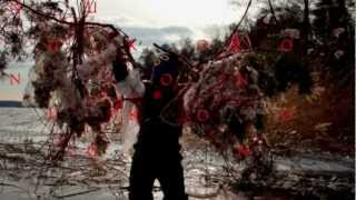 Jan Jelinek - A Concert For Television (Robert Lippok Remix)