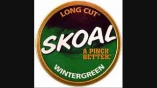 The Skoal Dip Song - Cledus T Judd