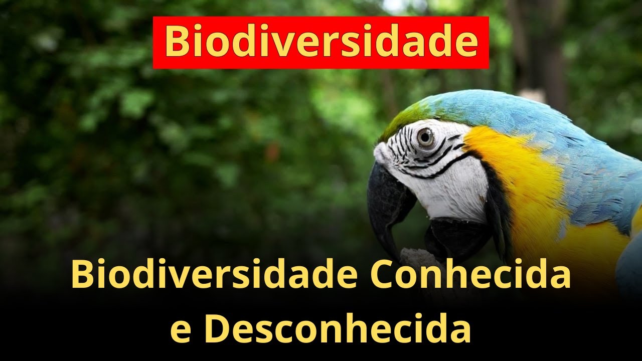 Biodiversidade conhecida e desconhecida no Brasil