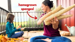 How We Manage to Keep Up the Homestead Lifestyle