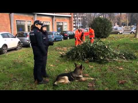 2015-12-09 - BLITZ DELLA POLIZIA MUNICIPALE DI PRATO CONTRO IL DEGRADO