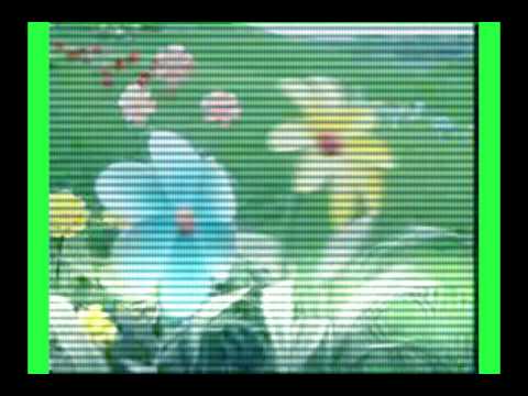 Teletubbies-chachaslide