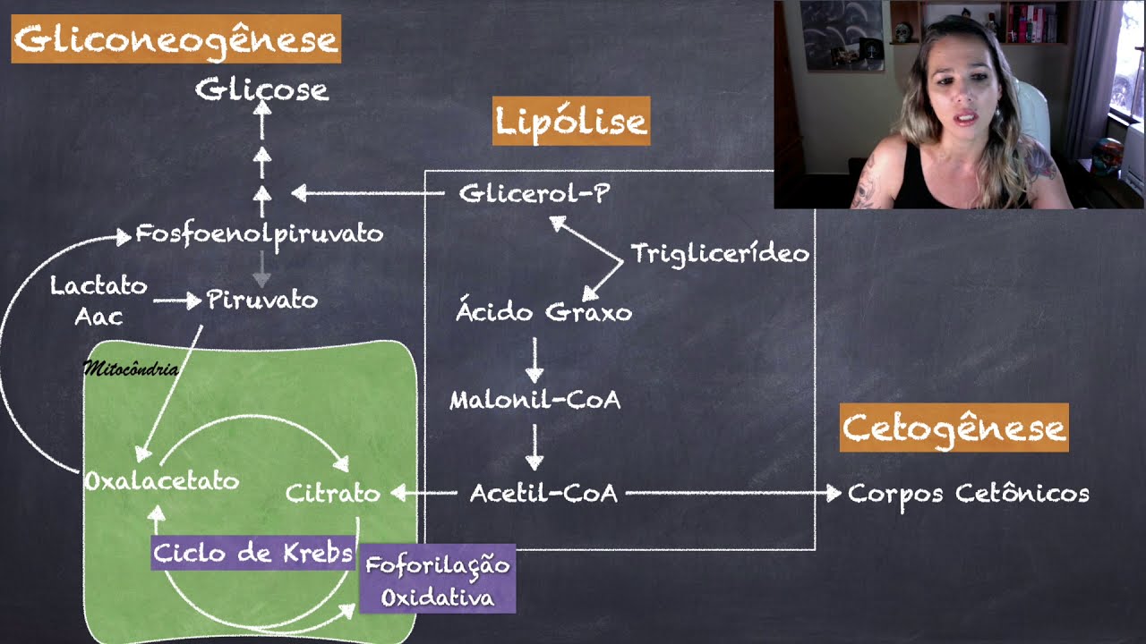 Metabolismo Glicêmico no Jejum