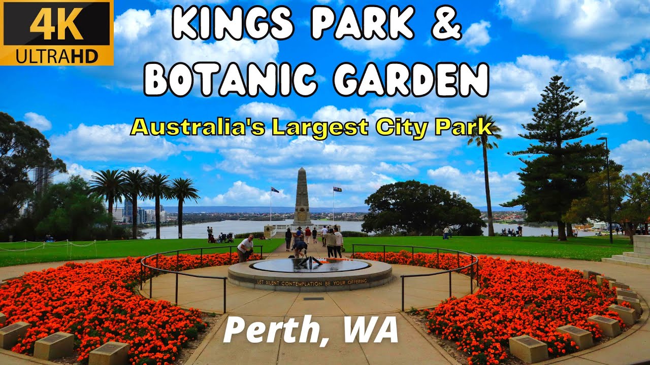 Embark on an immersive walking tour at Kings Park and Botanic Garden.