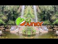 DJ Junior Raataan Lambiyan Jive Remix