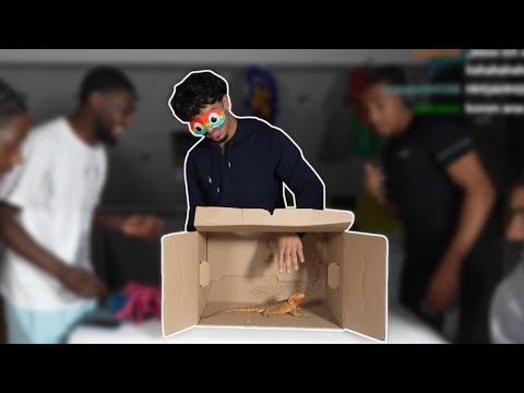 WHAT'S IN THE BOX WITH MOSAMMEL & 4NESCA