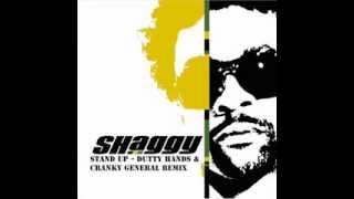 Shaggy - Stand Up (Dutty Hands &amp; Cranky General Remix)