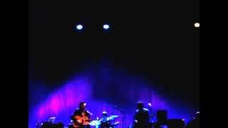 Wilco -  Muzzle of bees