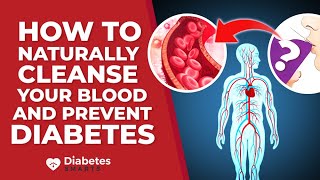 Top 5 Ways To NATURALLY Cleanse Your Blood And Prevent Diabetes