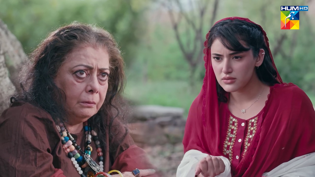Teray Naseeb Mein Sirf Dukh Aur Mout Hain...! #sajalaly #zanjeerain #danyalzafar - HUM TV