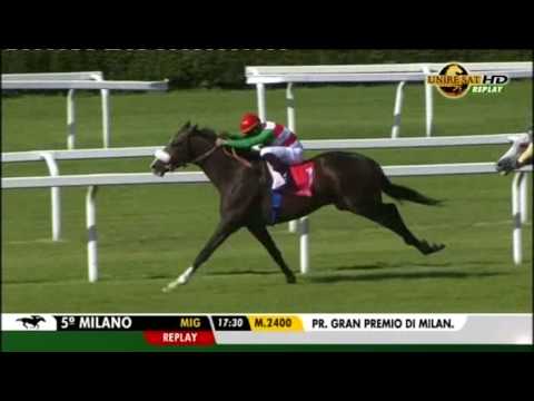 Premio(del Giubileo/XXXIX Royal Mares/Di Milano/Milan President Of the Uae Cup/Paolo Mezzanotte)