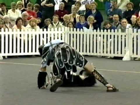 Gladiator - Canine Freestyle