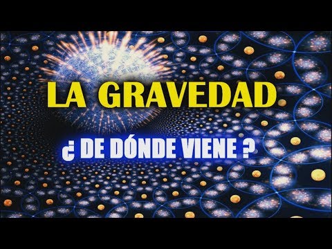 What is gravity and how does it work? Newton vs. Einstein