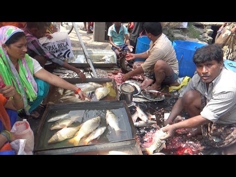 Look at this Man ( Fish Seller) | How Fast He is | Live American Rui Fish