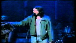 Butthole Surfers (David Letterman 1996) - Pepper