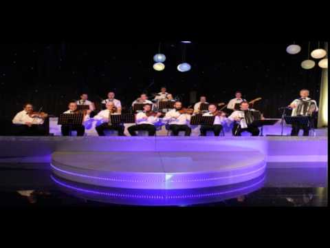 Dobrivoje Pavlica i VNO RTV - Milutinovo kolo