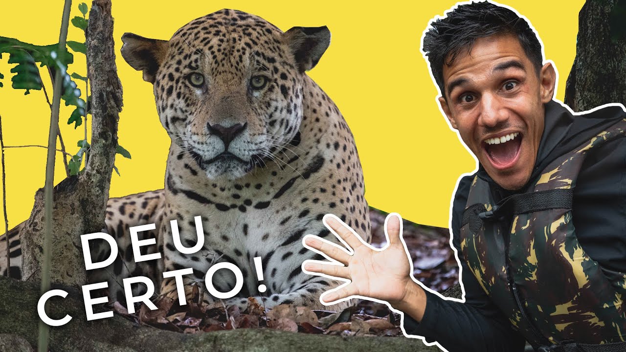 De cara com uma ONÇA no PANTANAL