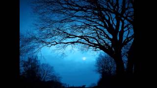 Blue Rodeo~Moon &amp; Tree (Odds &amp; Ends version)