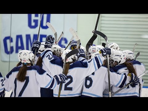 Frozen Fenway Trailer