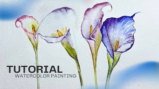 Tried Painting Realistic Calla Lilies in Watercolor – Step by Step Guide