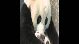 Oh, Father (Sia sample)