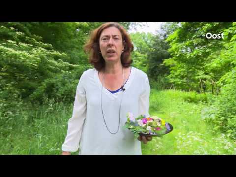 Natuurlijk tuinieren in de Priona Tuinen