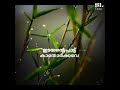 MALAR MANJU VEENA VANA VEEDHIYIL Lyrical Version Status Video