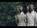 Artist William Wegman And His Weimaraner Muses