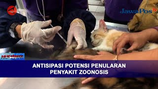 Download lagu ANTISIPASI POTENSI PENULARAN PENYAKIT ZOONOSIS || BERANDA NUSANTARA mp3