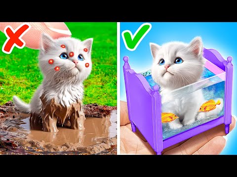 I Built Tiny House for Stray Kitten 😿 Secret Hacks for Pet Owners