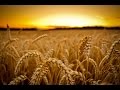 Концерт присвячений Івасюку - шумить пшениця як Дунай 