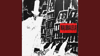 Download lagu Kami Tidak Bodoh mp3