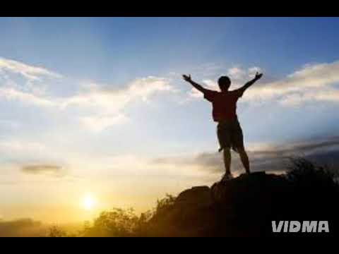 პეტროვიჩი / petrovichi - ვით ჩემი გული