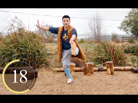 Shaolin Kung Fu Dynamic Strengthening Training at Home - 30 Secs Interval Training