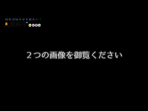 心理テスト “ブーバ・キキ効果” とは?