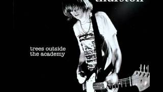 Honest James by Thurston Moore (Audio Cover)