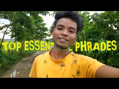 To Essential ENGLISH PHRASES by Village Vlog