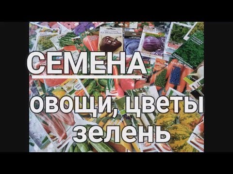 Обзор СЕМЯН овощей цветов зелени/ СЕМЕНА 2019 дешево/ Какие семена купили  #ДомовитаяХозяйка