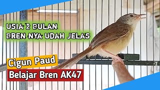 Download lagu Cigun Paud Belajar Bren AK47, Cocok untuk Pancingan Cigun Paud agar Cepat Ngriwik mp3 Download lagu Cigun Paud Belajar Bren AK47, Cocok untuk Pancingan Cigun Paud agar Cepat Ngriwik mp3