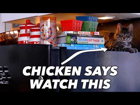 Unlocking nostalgia: Unboxing vintage cookbooks Volume 2